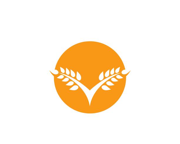 Modello di logo del grano di agricoltura, progettazione sana dell&#39;icona di vettore di logo di vita