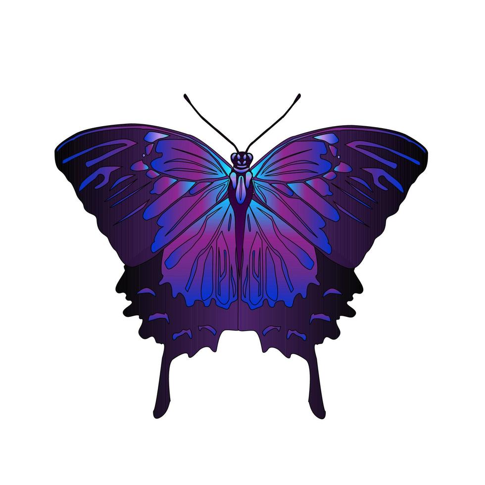 farfalla tropicale viola. vettore