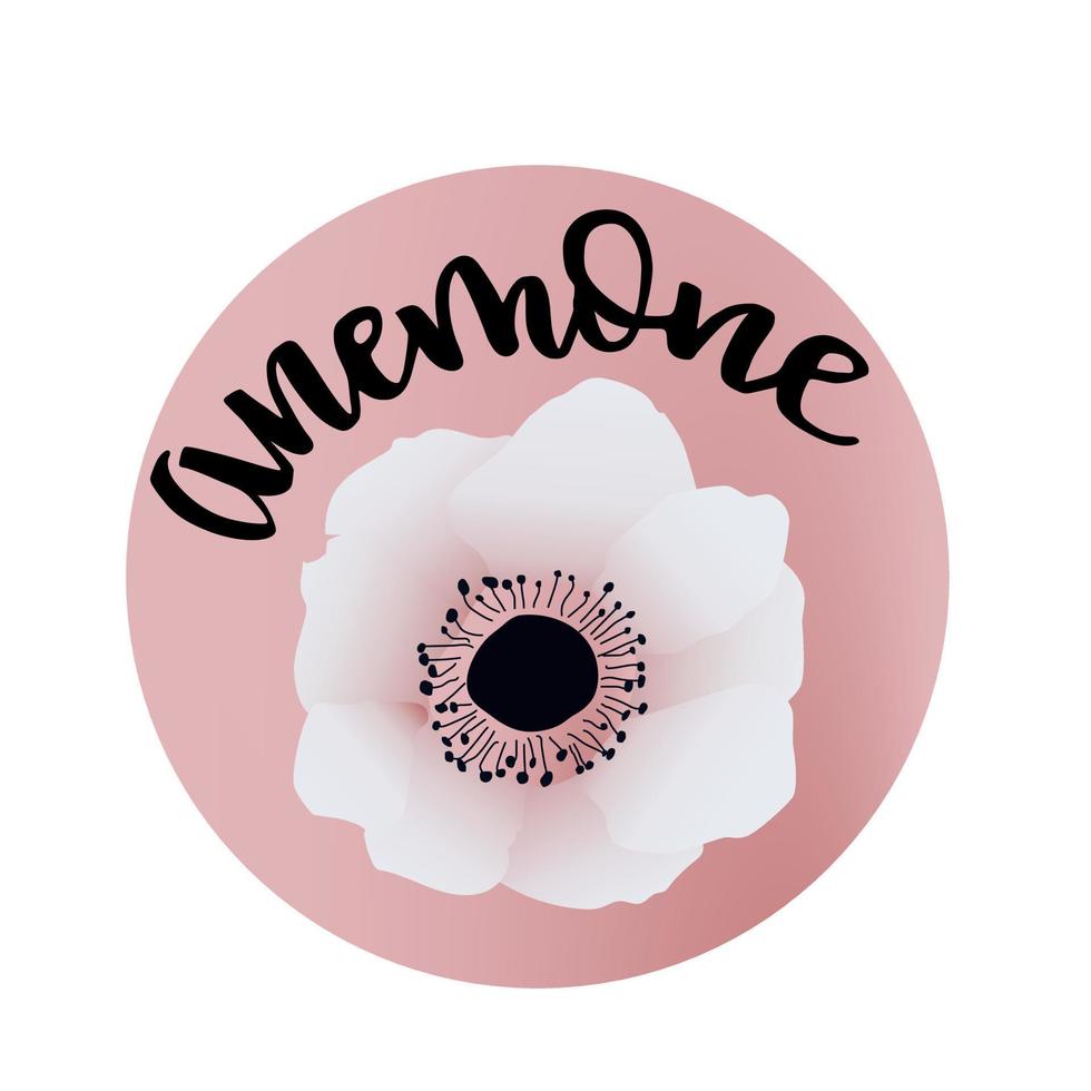 illustrazione di anemone con titolo scritto a mano. adesivo con scritte e fiori in rosa. per stampe, card, web. vettore