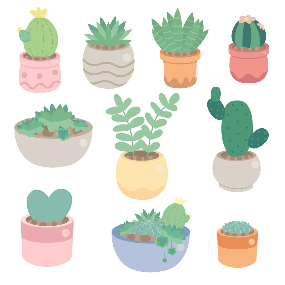 carino minimal cactus e succulente in collezione in vaso vettore