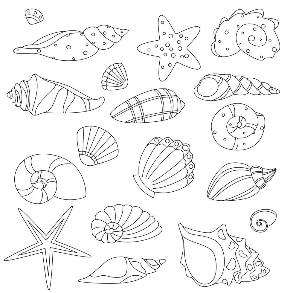 impostare la linea sottile del vettore. conchiglia oceanica naturale per molluschi, illustrazioni di contorno monocromatiche di conchiglie decorative acquatiche vettore