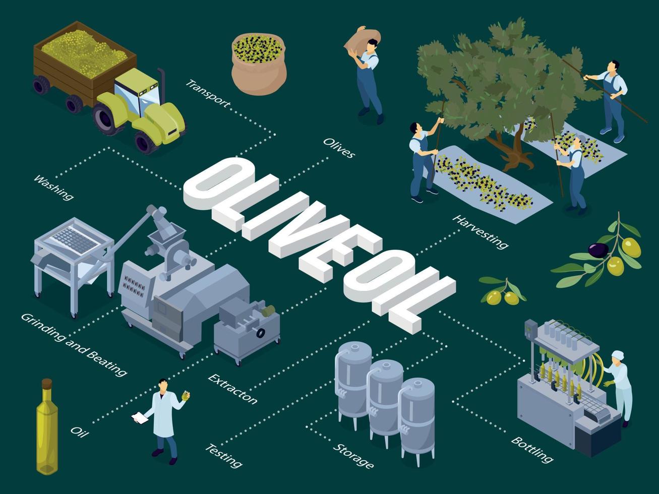 diagramma di flusso della produzione di olio d'oliva vettore