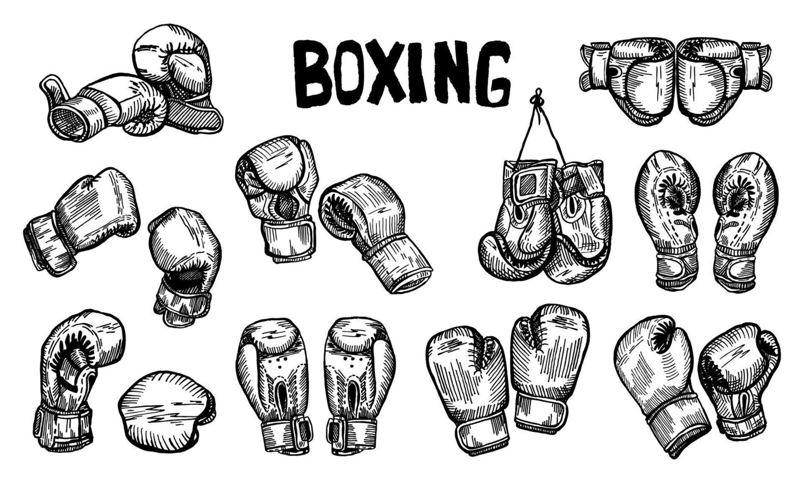 impostare i guanti da boxe appesi allo schizzo del titolo isolato. attrezzature sportive per la boxe in stile disegnato a mano. vettore