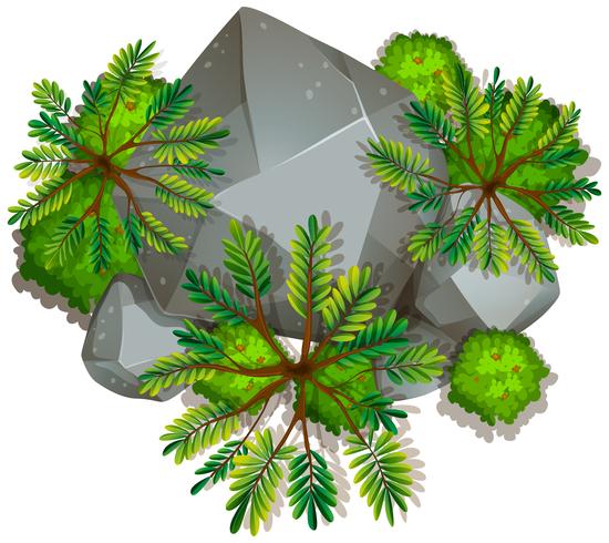 Una roccia di natura isolata vettore