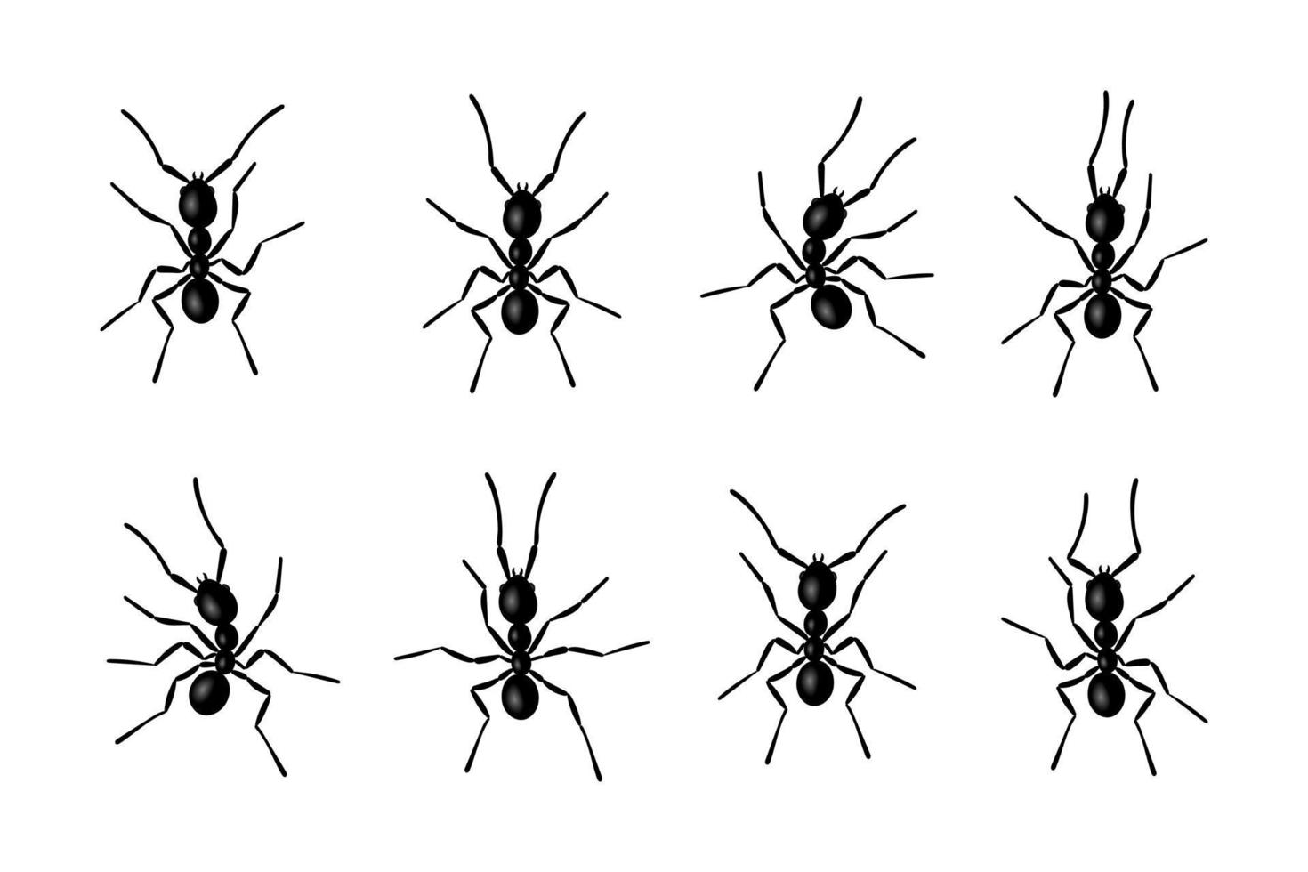 insetti formica sagome nere illustrazione vettoriale isolata su sfondo bianco.