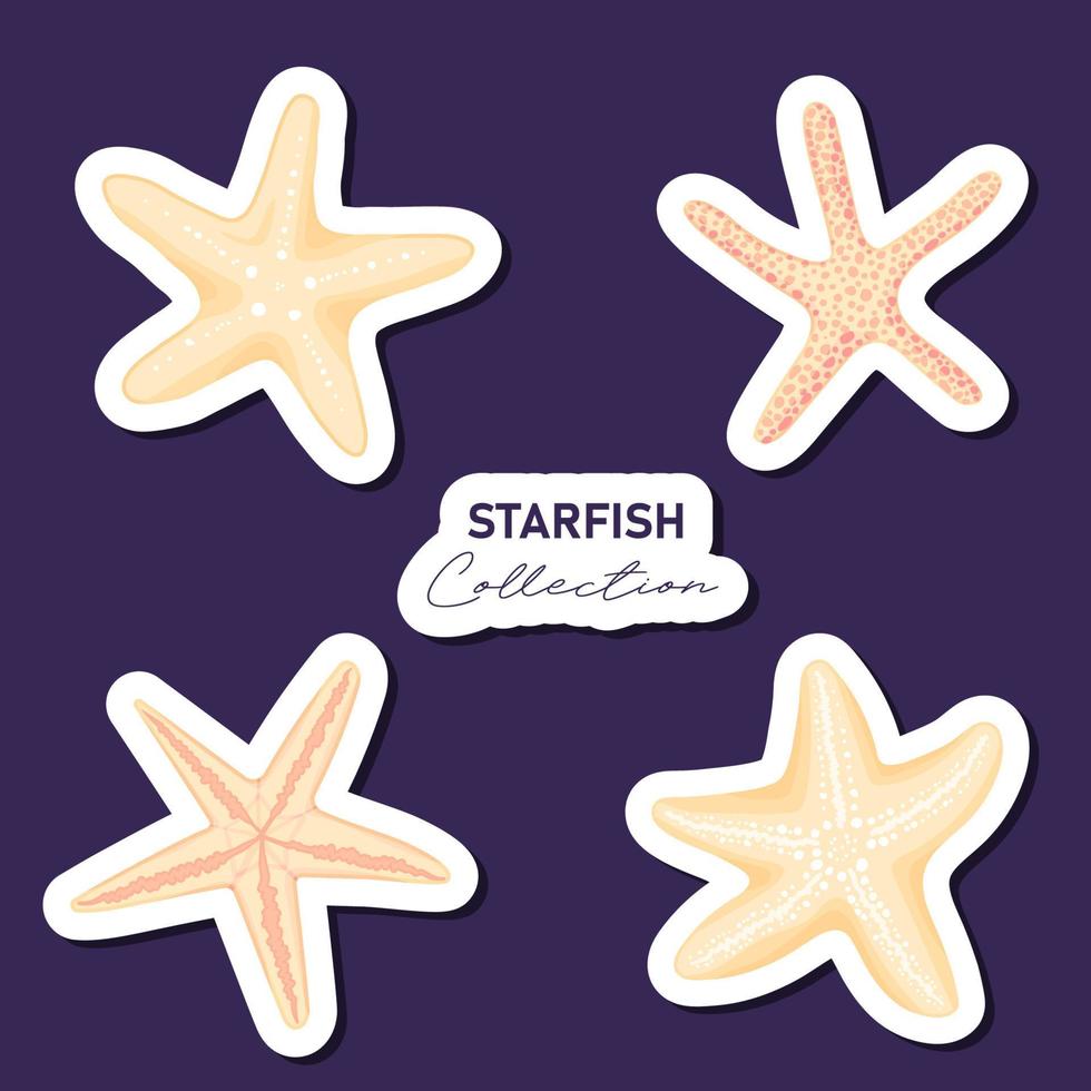 set di stelle marine disegnate a mano, stile cartone animato piatto. fauna dell'acquario, icona marina degli habitat della barriera corallina. estate natura oceano acquatico subacqueo illustrazione vettoriale per la progettazione grafica, sito web. collezione di adesivi.