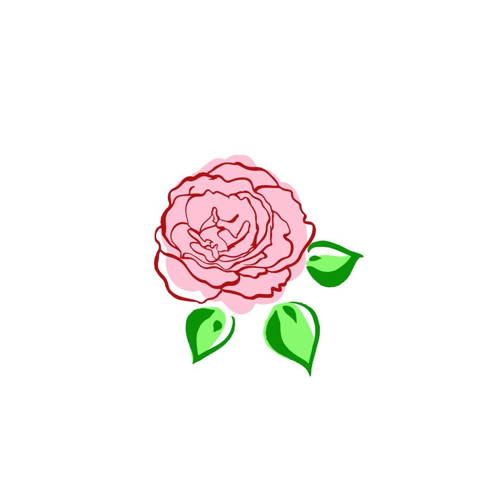 rosa rosa con foglie verdi. fiore disegnato a mano. stampa per t-shirt, vestiti, per modello, design grafico, logo del negozio, negozio. concetto di amore. biglietto di auguri dell'8 marzo, festa della mamma. illustrazione vettoriale