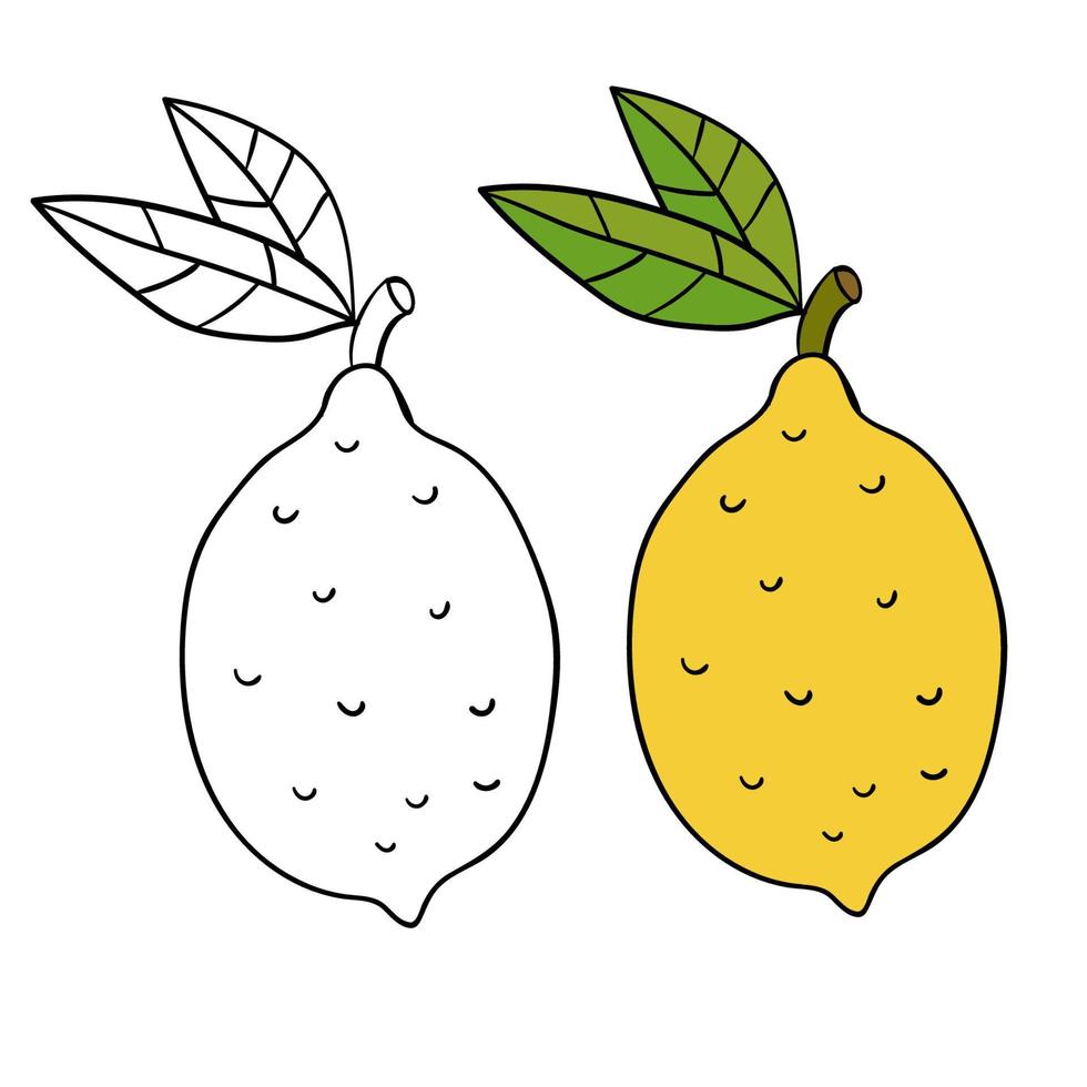 cartone animato doodle limone con foglie verdi isolato su sfondo bianco per libro da colorare. vettore