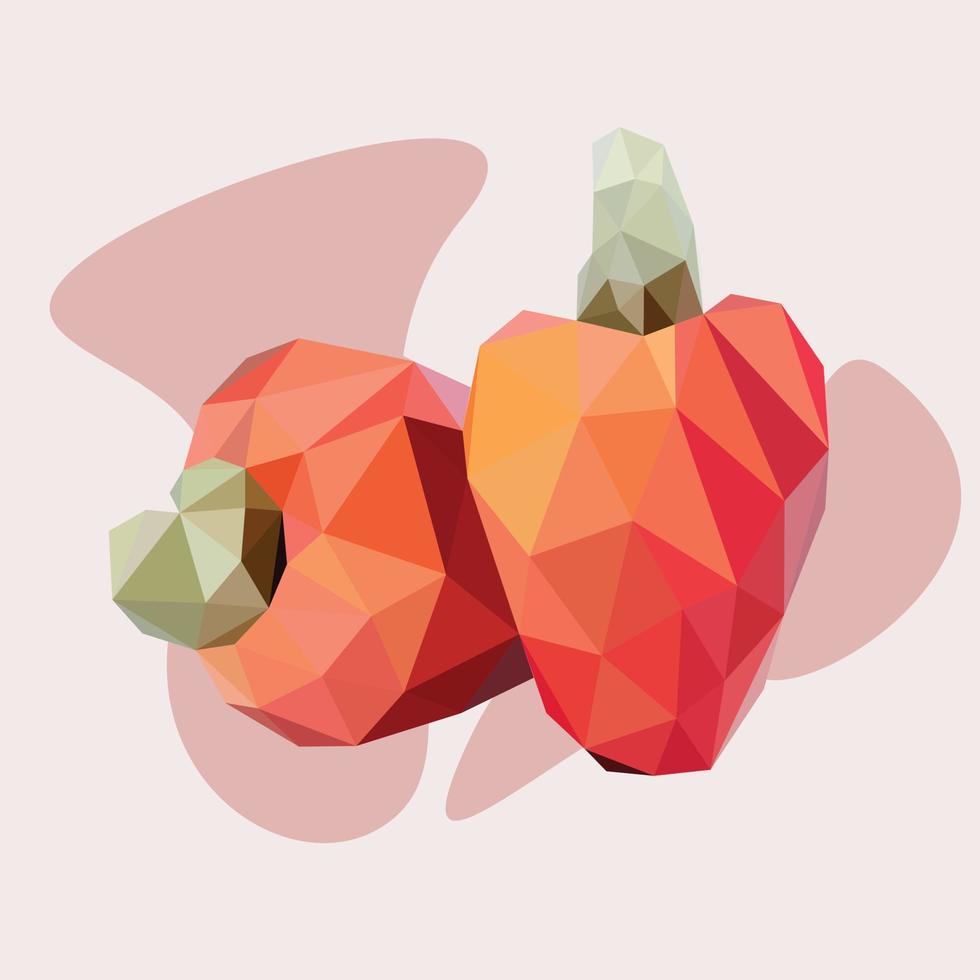 anacardi frutta anacardium occidentale low poly frutta art vettore