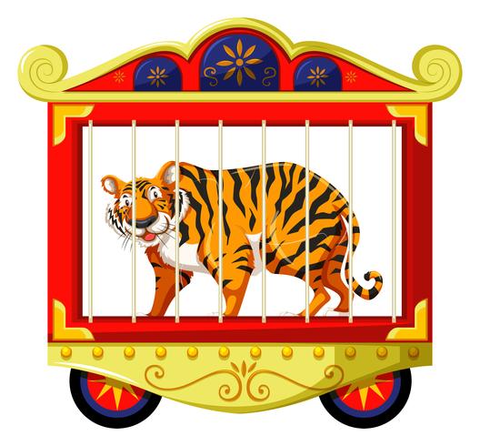 Tigre selvaggia nella gabbia del circo vettore