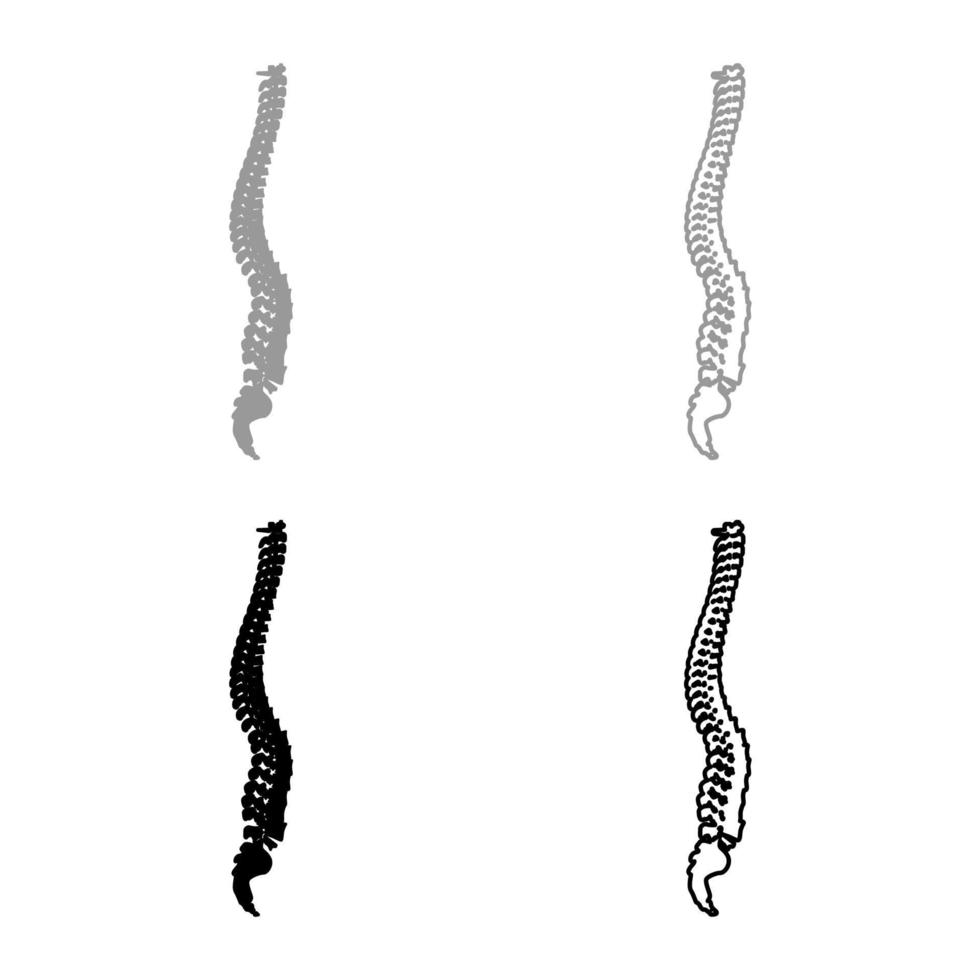 colonna vertebrale spinale colonna vertebrale colonna vertebrale set icona grigio nero colore illustrazione vettoriale immagine stile piatto riempimento solido contorno linea di contorno sottile