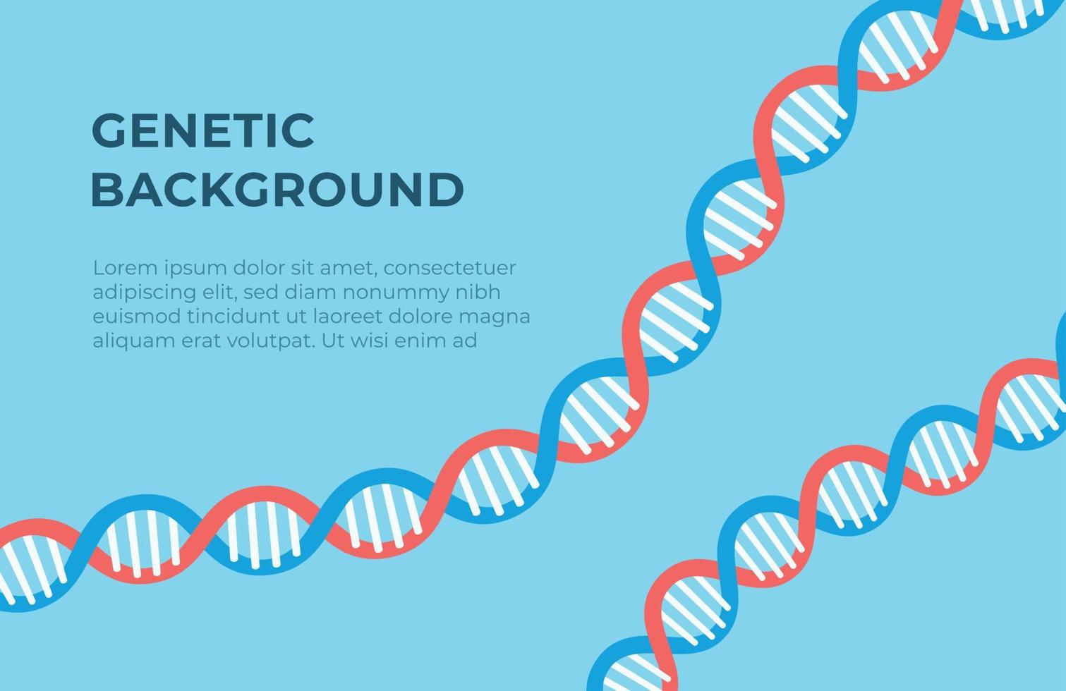 illustrazione vettoriale del background genetico. bandiera del cromosoma umano. un test per verificare la parentela.