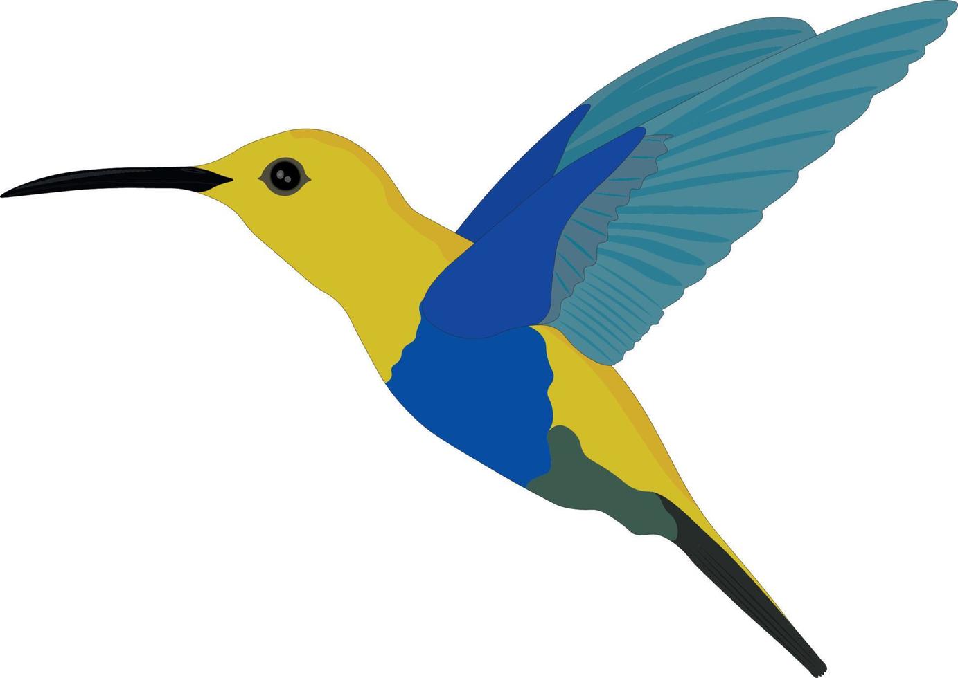 illustrazione vettoriale di colibrì blu giallo
