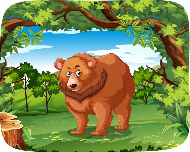Un orso grizzly nella giungla vettore