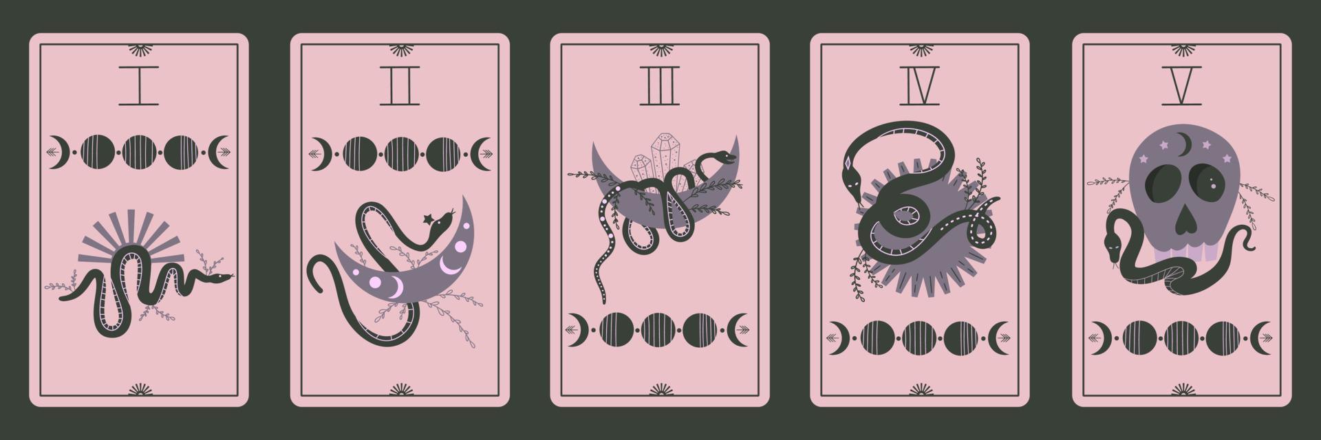 tarocchi vintage con fasi lunari, serpenti e teschio. magia celeste per occulto e divinazione. set di carte chiare rosa su sfondo scuro. serpente con luna e sole. illustrazione vettoriale piatta.