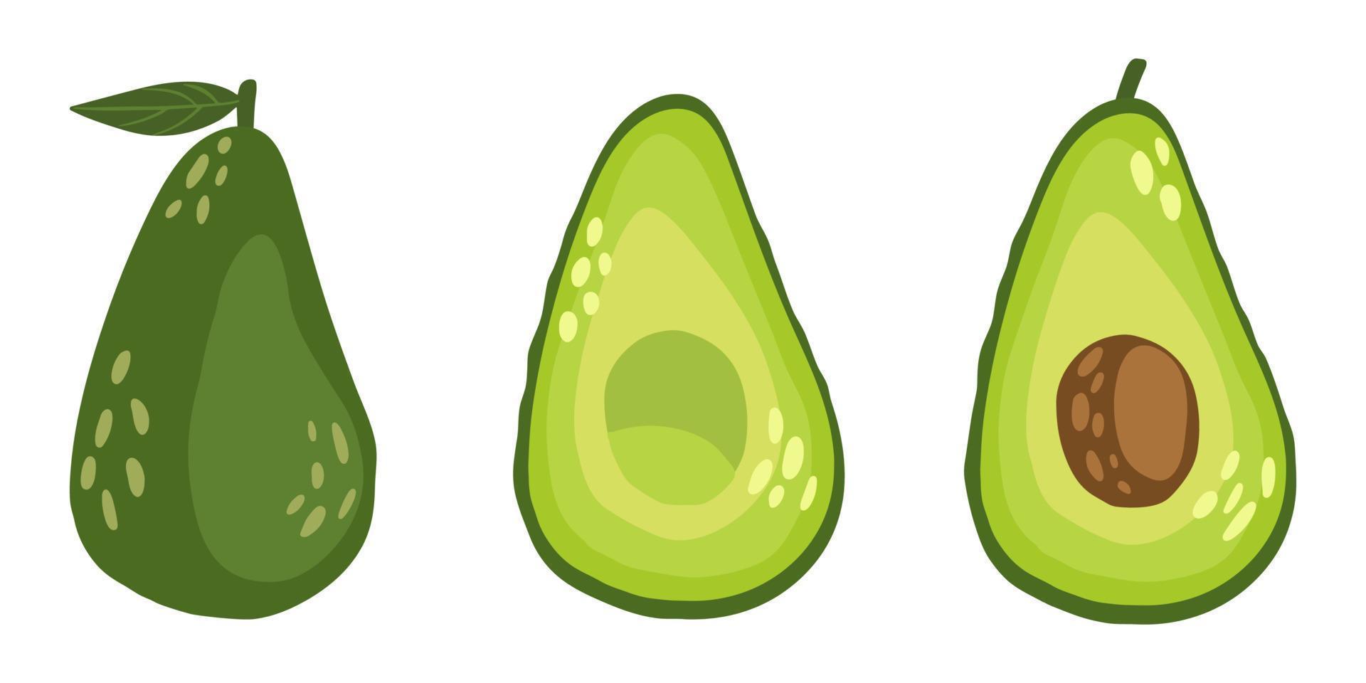 delizioso avocado, intero, tagliato a metà e con il nocciolo. illustrazione vettoriale di avocado, isolato su sfondo bianco.