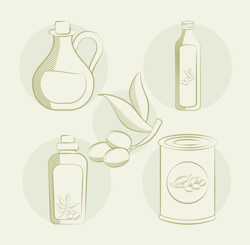 cinque articoli di oliva vettore