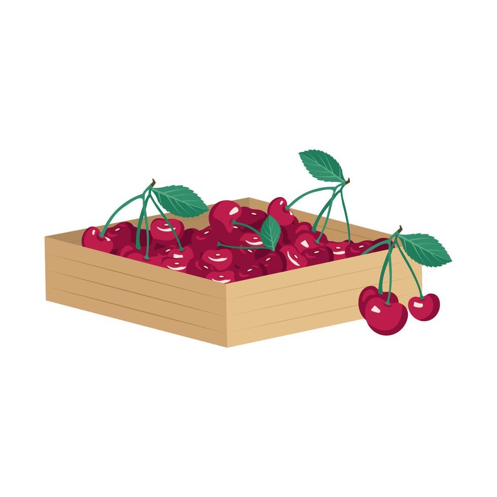 scatola con bacca di ciliegia rossa matura con foglie. cibo delizioso dolce e dessert sano. prodotto naturale adatto ai vegetariani. fonte di vitamine e allergie. illustrazione piatta vettoriale