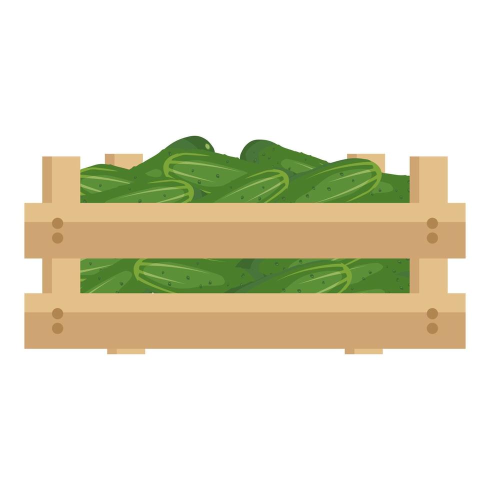 scatola di legno con cetriolo verde. deliziosa verdura sana, cibo fresco per la preparazione di insalata, raccolto. illustrazione piatta vettoriale