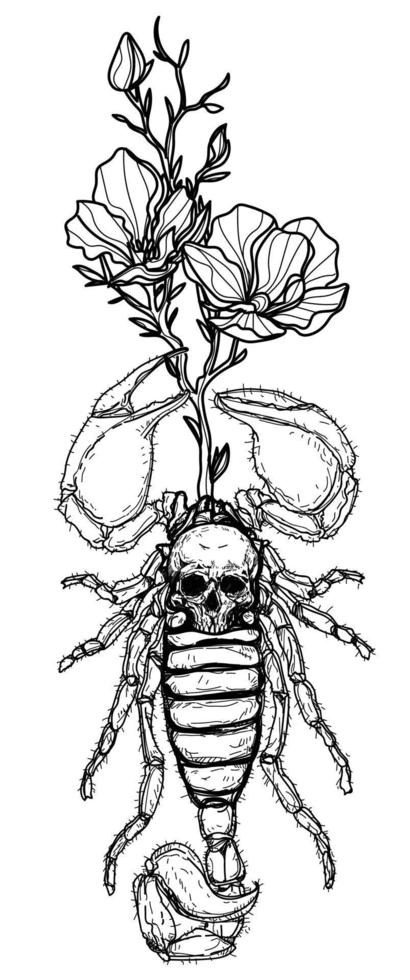 arte del tatuaggio disegno a mano scorpione e schizzo di fiori vettore