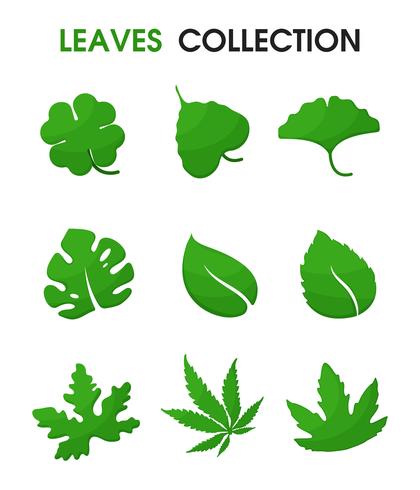 Belle forme di foglie. Illustrazione vettoriale