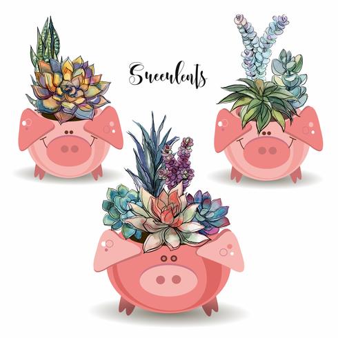 Disposizione Dei Fiori Delle Succulente In Divertenti Pentole A Forma Di Maiali Illustrazione Vettoriale Scarica Immagini Vettoriali Gratis Grafica Vettoriale E Disegno Modelli