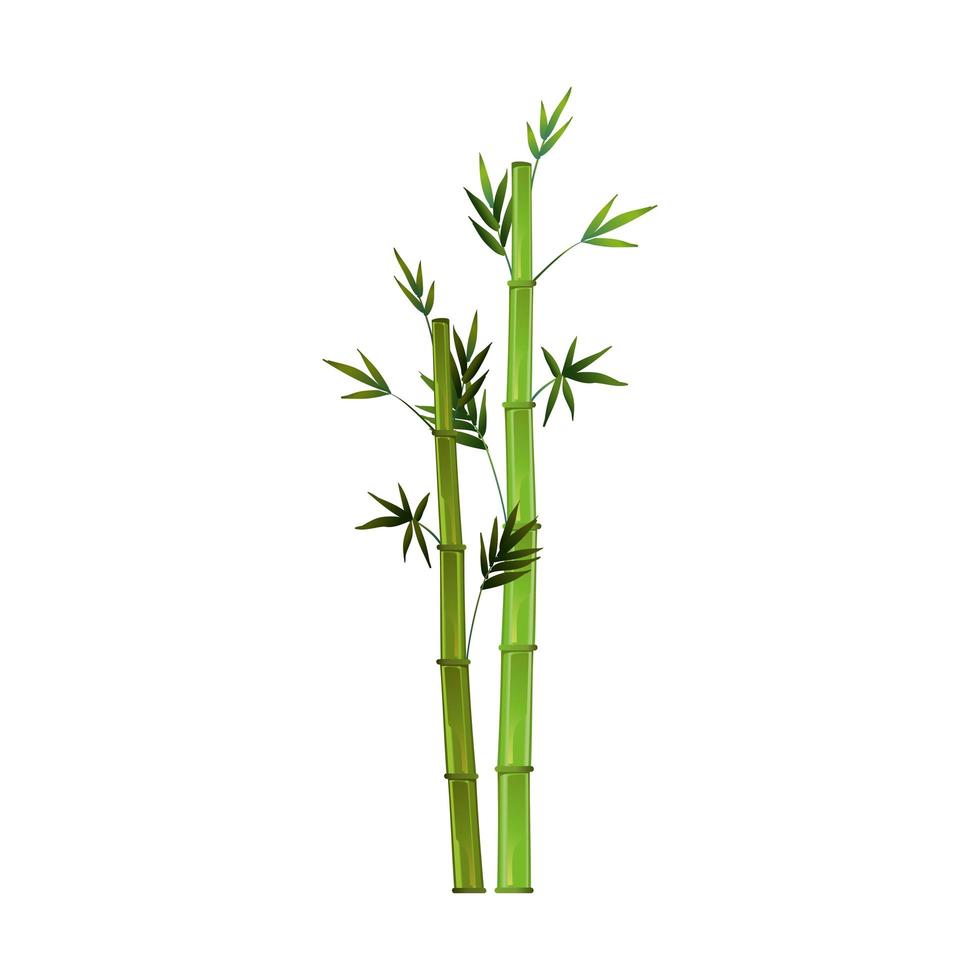 bambù verde realistico isolato su sfondo bianco - vettore