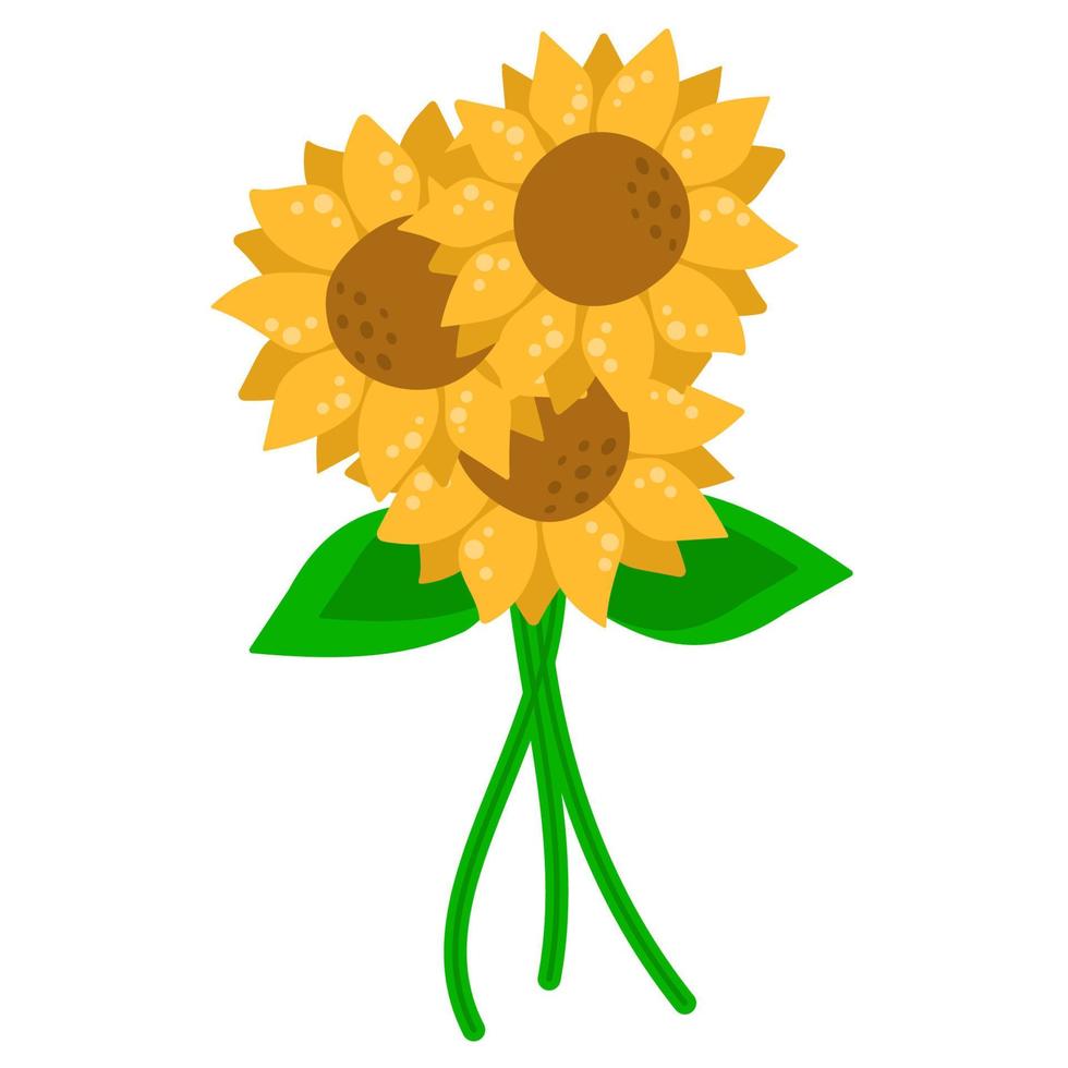 bouquet di girasoli isolati, adesivo o icona per la decorazione di design, può essere utilizzato sulla confezione vettore