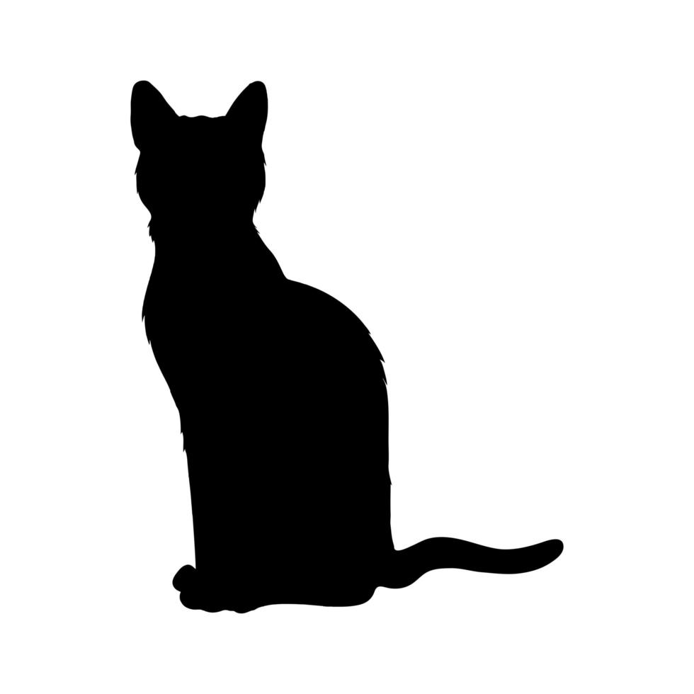 sagoma di gatto nero vettore