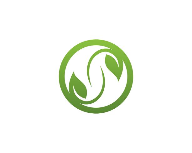 foglia verde natura logo e simbolo modello vettoriale