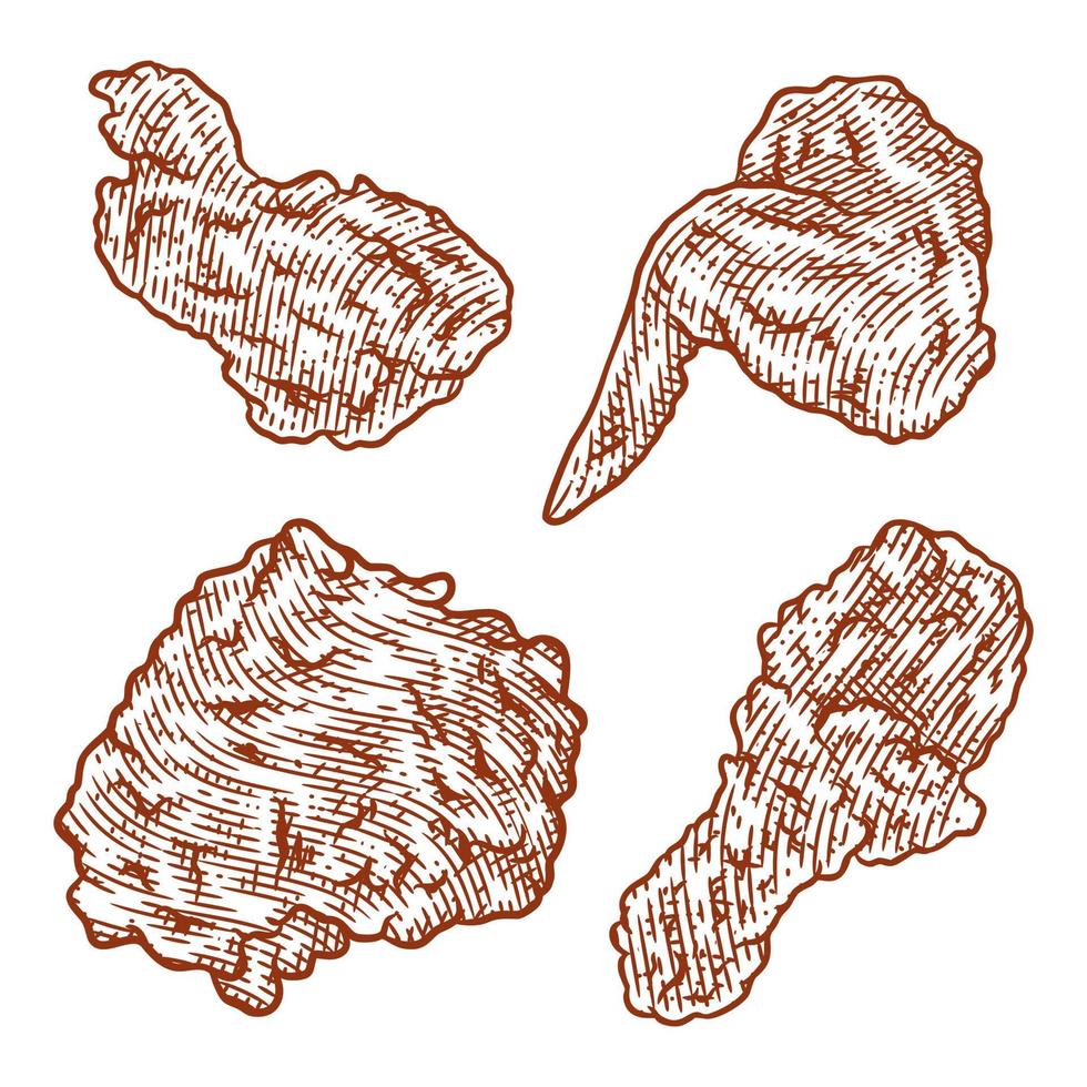 illustrazione vettoriale di pollo fritto croccante