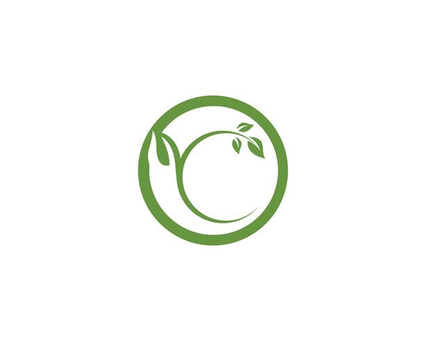 foglia verde natura logo e simbolo modello vettoriale
