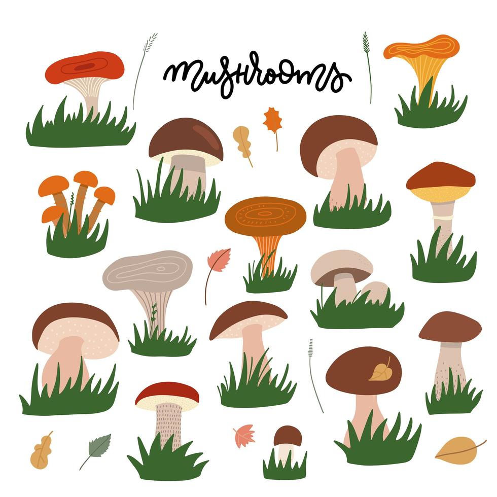 funghi di bosco con illustrazioni piatte gress impostate. disegno a colori commestibili e funghi. finferli di cartone animato, boletus edulis, russula, champignon isolati su sfondo bianco. illustrazione vettoriale piatta.