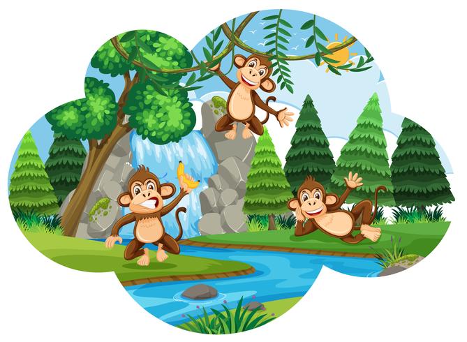 Scimmie sfacciate nei boschi vettore