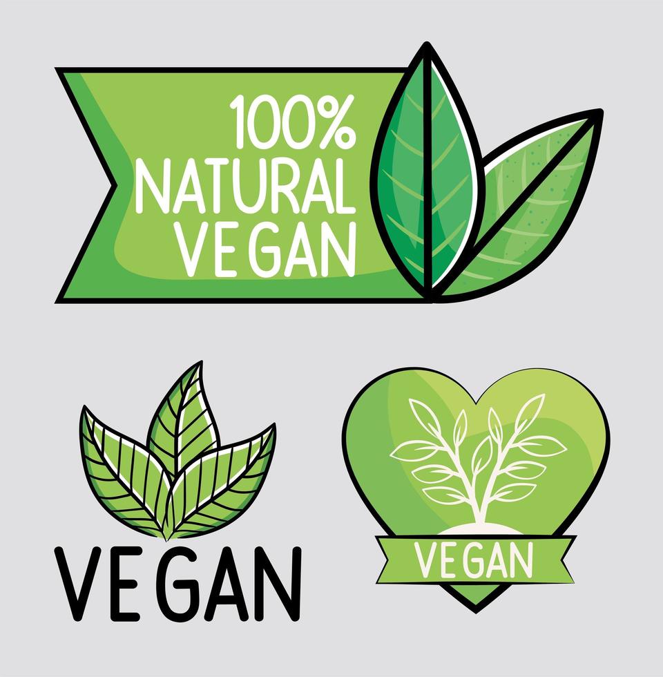 distintivi naturali e vegani vettore