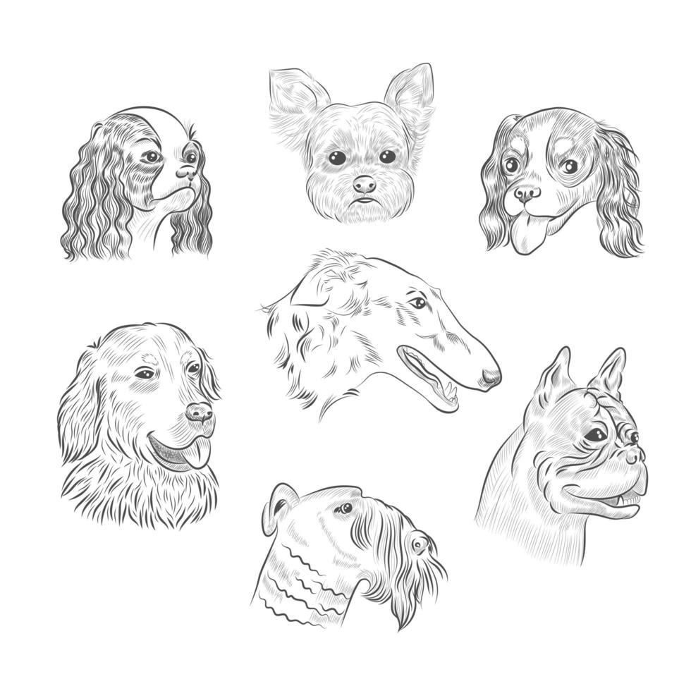 ritratti di cani di razza schizzi disegnati a mano. vettore
