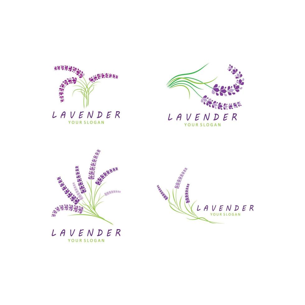 design piatto di vettore di logo di fiori di lavanda fresca