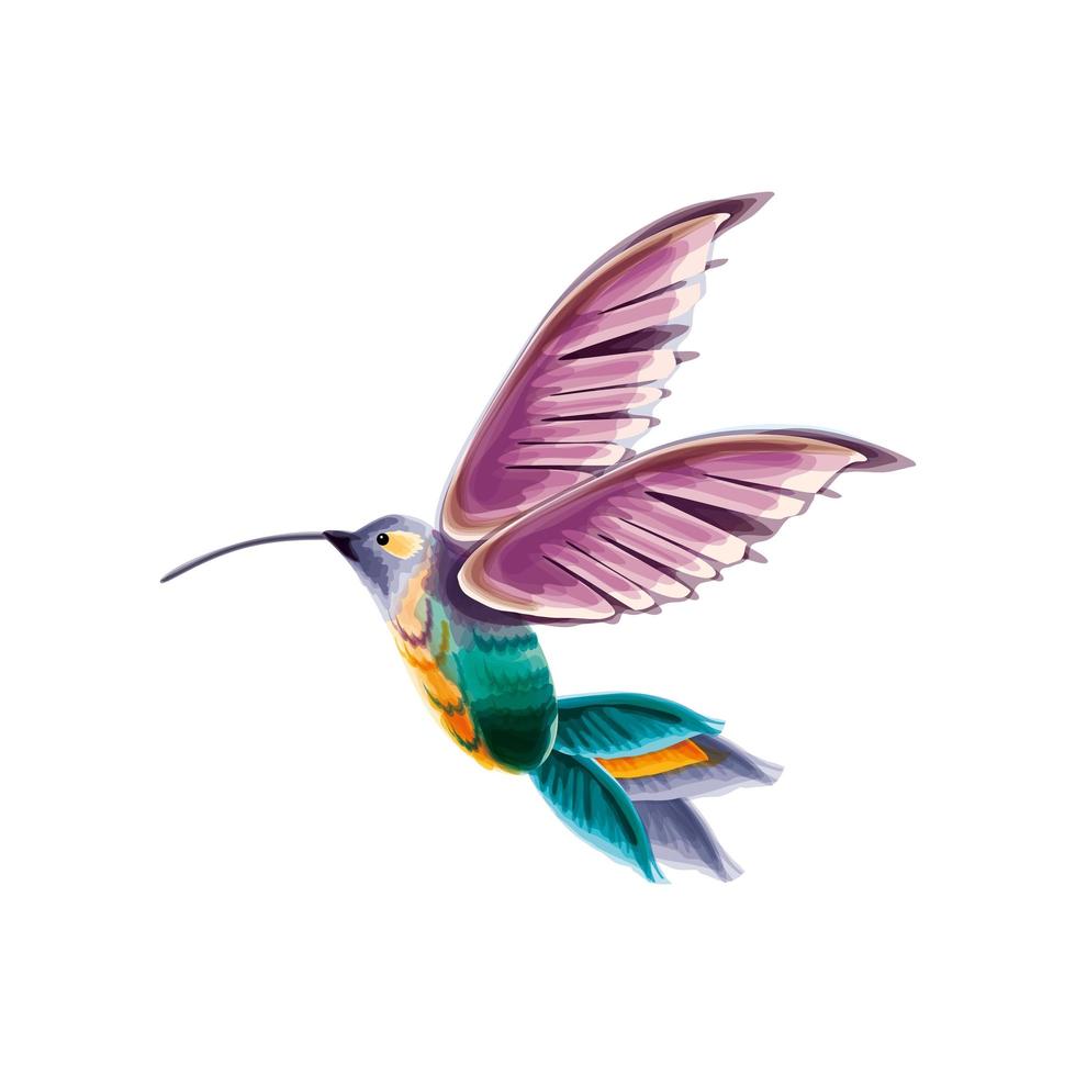 acquerello di uccelli colibrì vettore