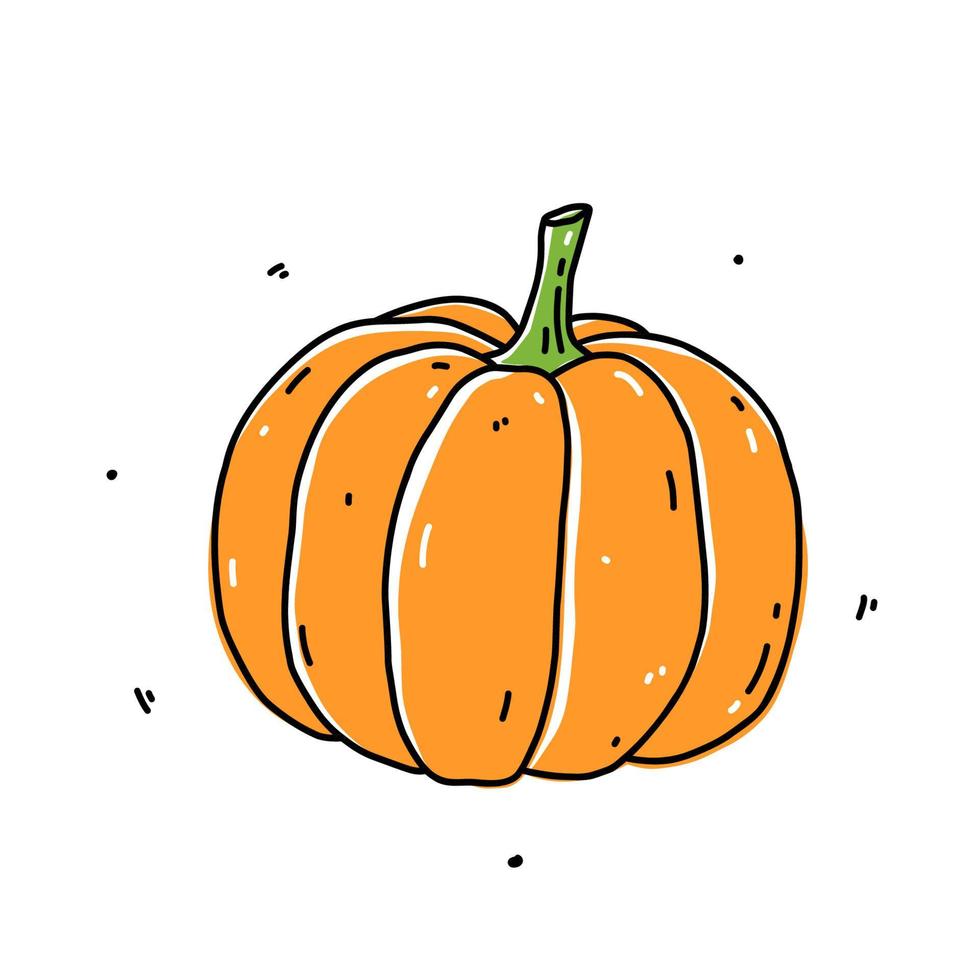 zucca arancione isolata su sfondo bianco. cibo sano biologico. illustrazione disegnata a mano di vettore in stile doodle. perfetto per carte, logo, decorazioni, ricette, disegni vari.