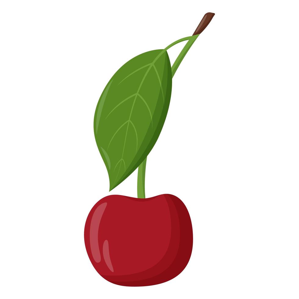 ciliegia rossa intera con foglia verde isolata su sfondo bianco. illustrazione vettoriale piatta