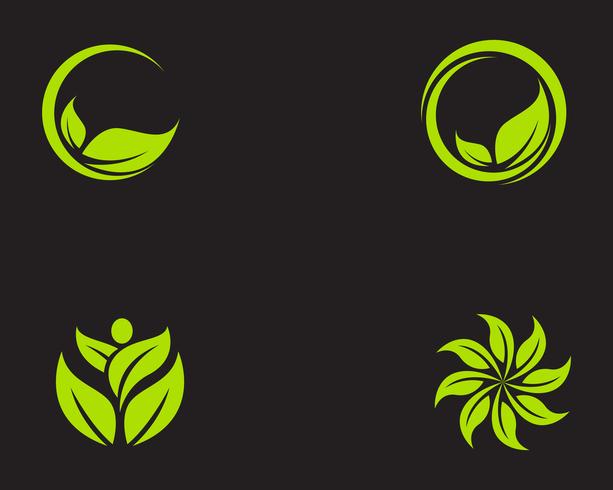 Icona di vettore dell&#39;elemento della natura di ecologia della foglia verde del logos