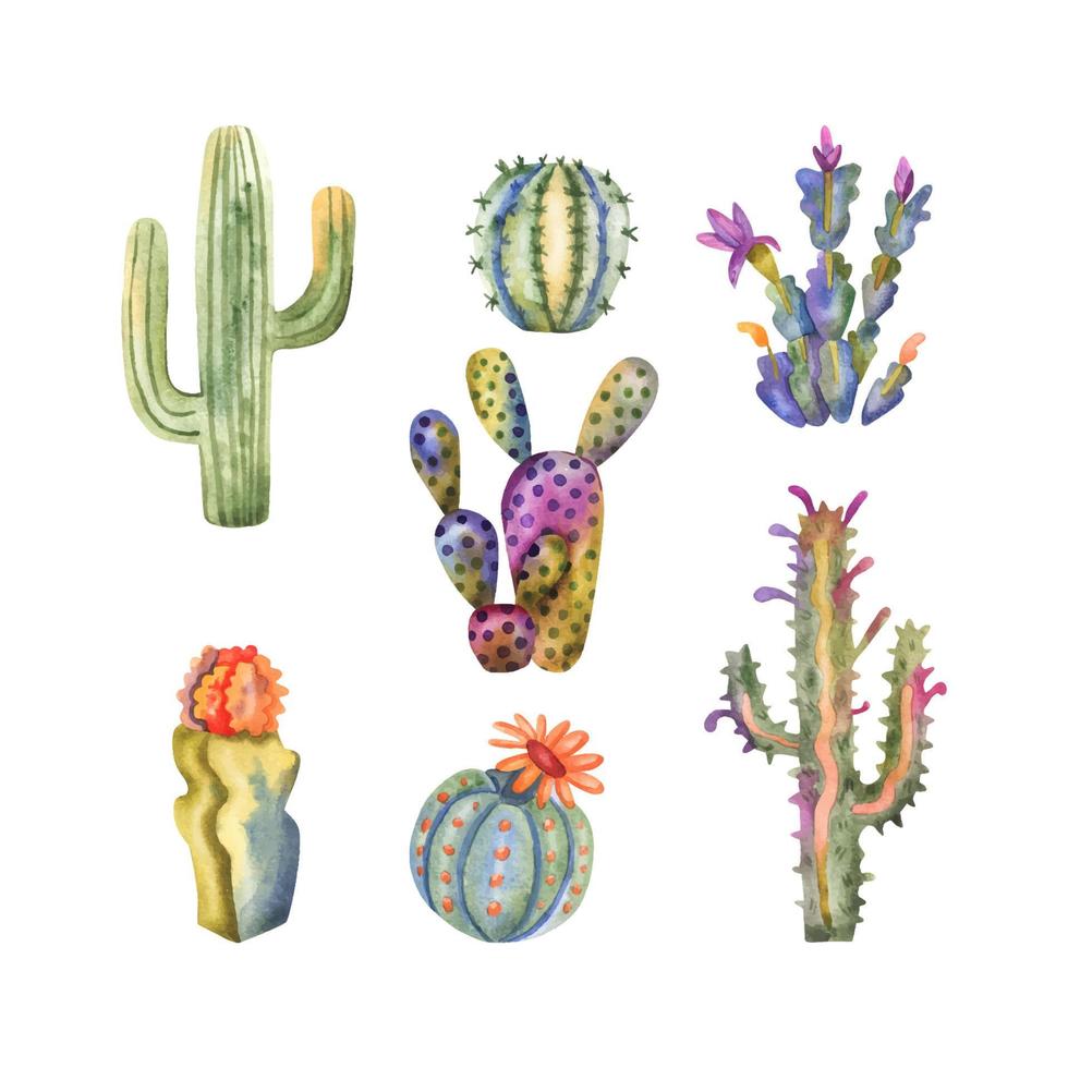 collezione di cactus ad acquerello. cactus e piante grasse disegnati a mano isolati su bianco vettore