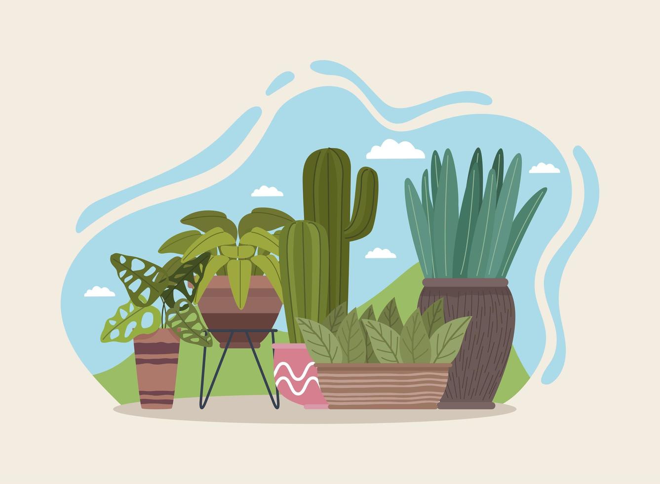cinque piante d'appartamento giardinaggio vettore