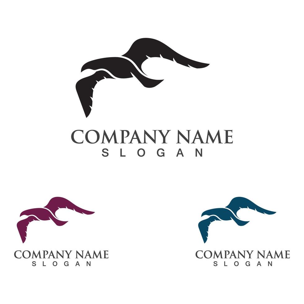 design del logo del gabbiano, temi, modelli elementi grafici fauna selvatica animale vettore