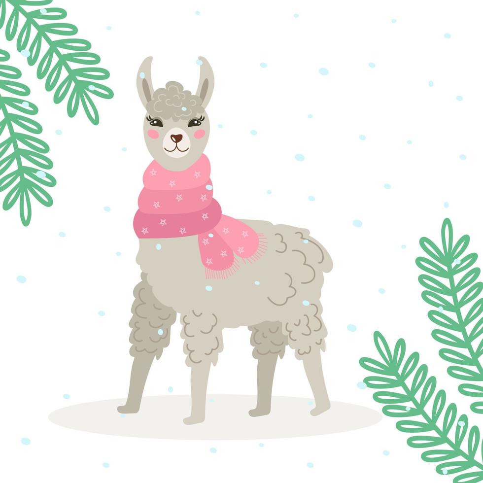 biglietto di Natale con un simpatico lama grigio o un'alpaca in inverno, in una calda sciarpa. decorato con rami di abete. illustrazione accogliente di vettore. vettore