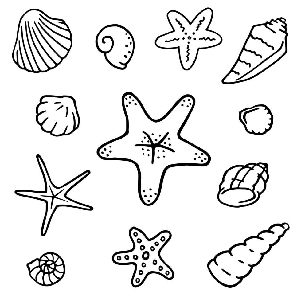 set disegnato a mano di conchiglie e stelle marine. illustrazione vettoriale isolato su sfondo bianco. elementi di design per il tema del mare in stile doodle