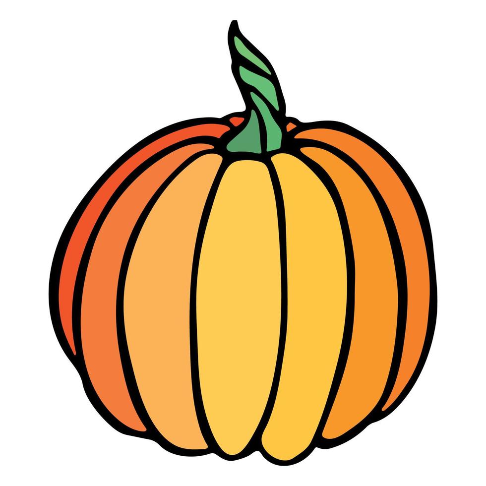 illustrazione disegnata a mano di vettore della zucca. oggetto isolato su sfondo bianco. clipart di raccolta delle verdure. prodotto del mercato agricolo. elementi per il design autunnale, la decorazione.