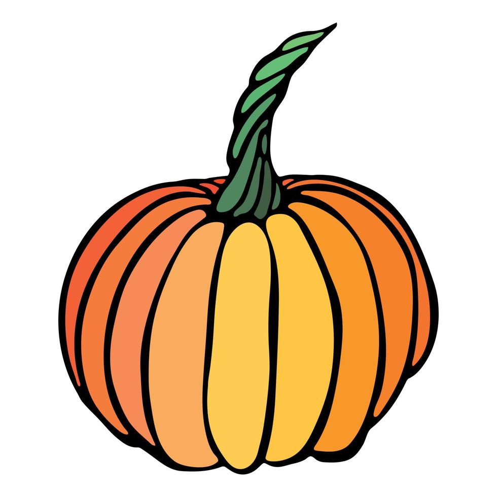 illustrazione disegnata a mano di vettore della zucca. oggetto isolato su sfondo bianco. clipart di raccolta delle verdure. prodotto del mercato agricolo. elementi per il design autunnale, la decorazione.