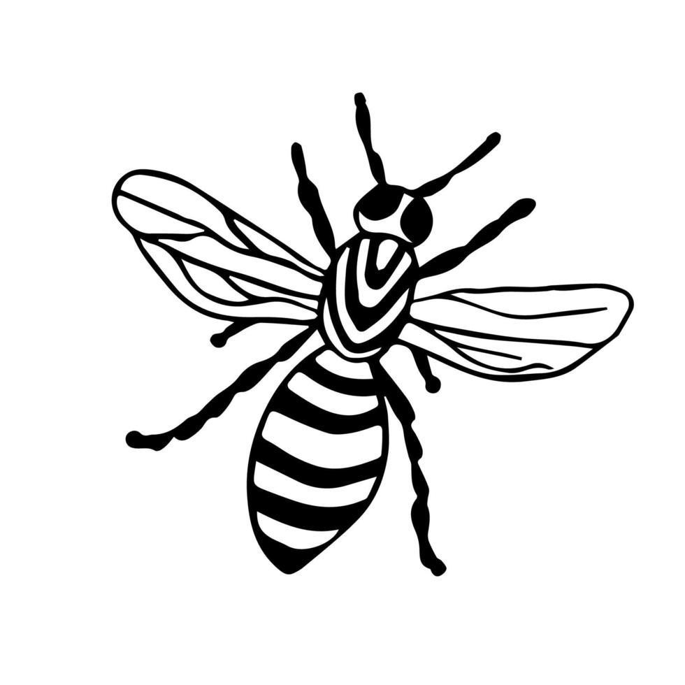 ape, calabrone, vespa con ali scarabocchiate, insetto in nero