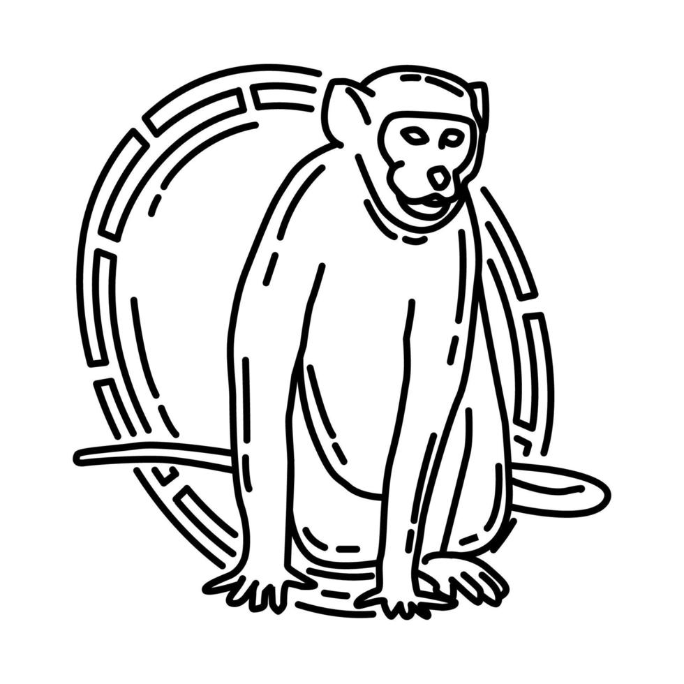 icona di simboli di scimmia feng shui. doodle disegnato a mano o stile icona di contorno. vettore
